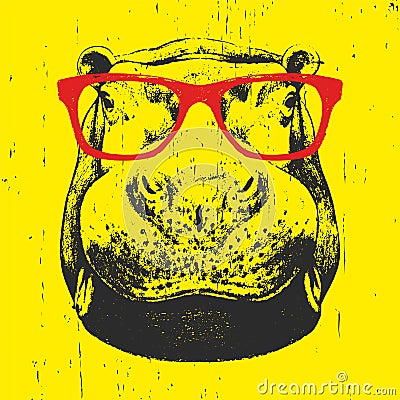 Portrait of Hippo with glasses. Hand drawn illustration. Vector Illustration