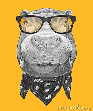 Portrait of Hippo with glasses and scarf. Cartoon Illustration