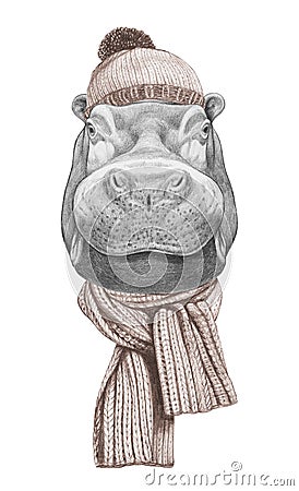 Portrait of Hippo with hat and scarf. Cartoon Illustration