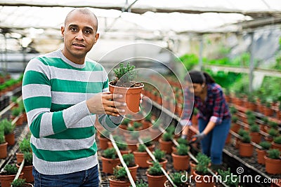 Portrait of a hispanic farmer holding an ornamental shrub. Stock Photo