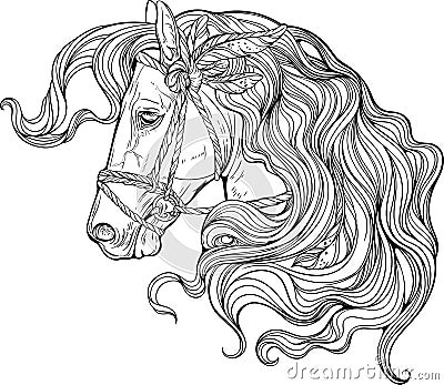 Portrait of a horse with long decorated mane. Vector Illustration