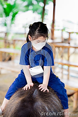 Portrait image child 5 year old. Cute Asian girl is riding on back of black buffalo. Children get close to farm animals. Stock Photo