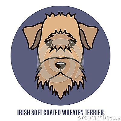 Portrait of Irish Soft Coated Wheaten Terrier. Vector illustrati Vector Illustration