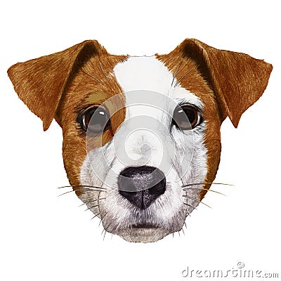 Portrait of Jack Russell. Cartoon Illustration