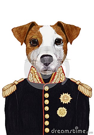 Portrait Jack Russell of in military uniform. Cartoon Illustration