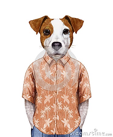 Portrait of Jack Russell in summer shirt. Cartoon Illustration