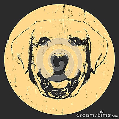 Portrait of Labrador. Vector Illustration