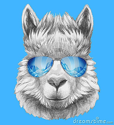 Portrait of Lama with mirror sunglasses. Cartoon Illustration