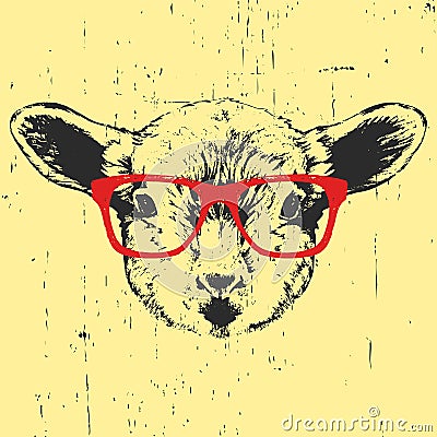 Portrait of Lamb with glasses. Vector Illustration