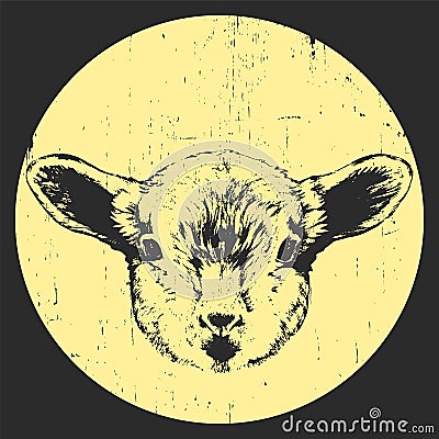 Portrait of Lamb. Vector Illustration