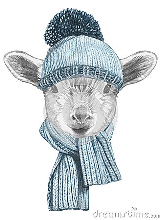 Portrait of lamb with hat and scarf. Cartoon Illustration