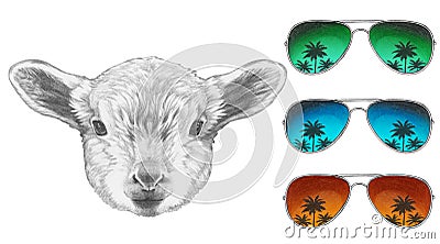Portrait of Lamb with mirror sunglasses. Cartoon Illustration