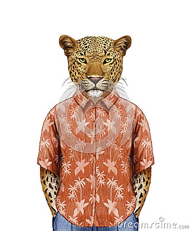 Portrait of Leopard in summer shirt with. Cartoon Illustration