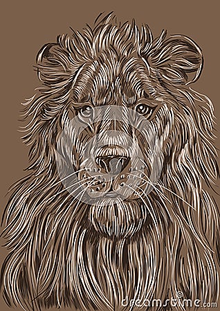 Portrait of a lion, color Stock Photo
