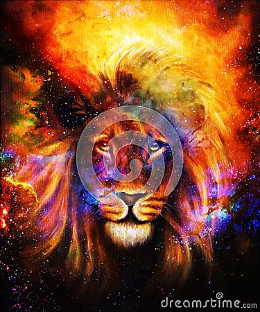 Portrait lion in cosmic space. Eye contact. Stock Photo