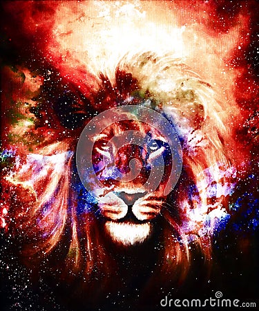 Portrait lion in cosmic space. Eye contact. Stock Photo