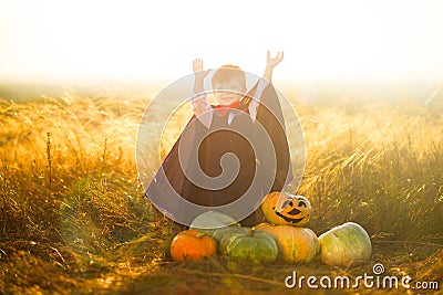 Portrait of a little boy dressed as a dracula outdoors in a pumpkin patch on sunset background. Halloween Stock Photo