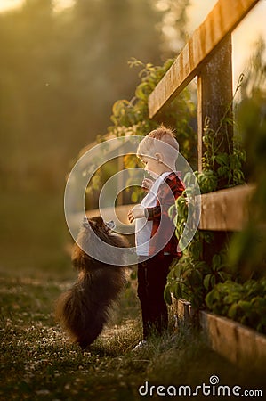 Portrait of a little boy with small dog in the park Stock Photo