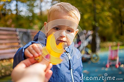 Portrait of a little cute baby boy in blue clothes takes a yellow autumn leaf from his mother hands and looks at it Stock Photo