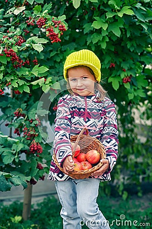 Portrait of a little girl with a crop of apples . Stock Photo