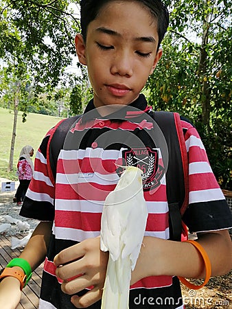 Portrait of a malay boy with a parrot on his hand Stock Photo