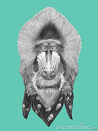 Portrait of Mandrill with scarf. Cartoon Illustration