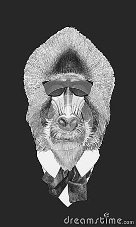 Portrait of Mandrill in suit. Cartoon Illustration