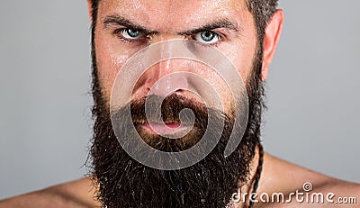 Portrait of masculinity. look of male. Hipster man with beard, mustache. man. Portrait brutal bearded man Stock Photo