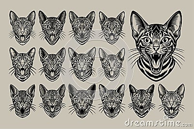 Portrait of meowing toyger cat head silhouette design bundle Vector Illustration