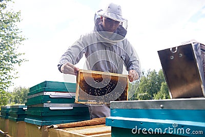 Young Beekeeper Working in Apiary Stock Photo