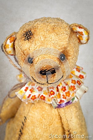 Portrait of old fashioned teddy bear Stock Photo