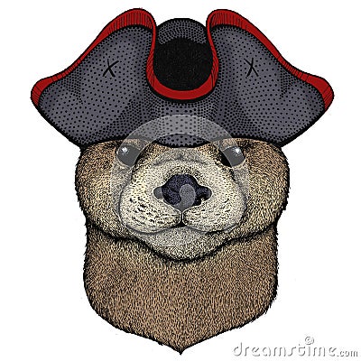 Portrait of otter. Cute animal head. Cocked hat. Stock Photo