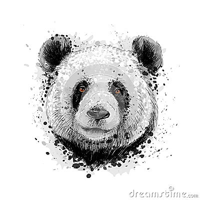 Portrait of a Panda bear from a splash of watercolor Vector Illustration