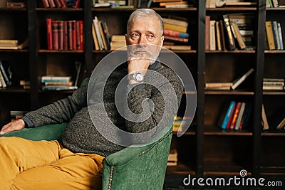 Portrait of pensive bearded gray-haired senior male , thoughtfully holding fist hand near chin. Stock Photo