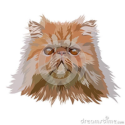 Portrait Persian cat , vector illustration Vector Illustration