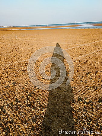 a person's shadow on the beach Stock Photo