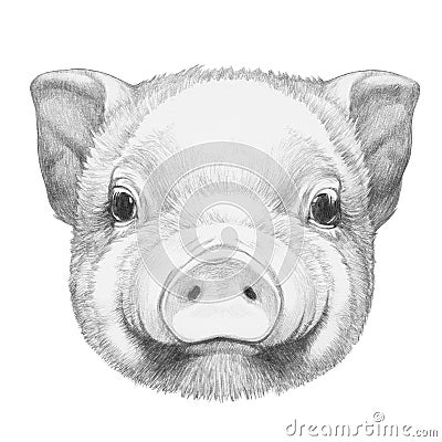 Portrait of Piggy. Cartoon Illustration