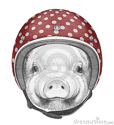 Portrait of Piggy with Helmet. Cartoon Illustration