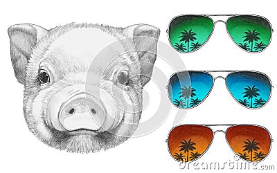 Portrait of Piggy with mirror sunglasses. Cartoon Illustration