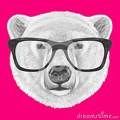 Portrait of Polar Bear with glasses. Cartoon Illustration