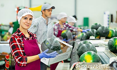 Portrait of positive woman fruit factory worker with watermelon Stock Photo