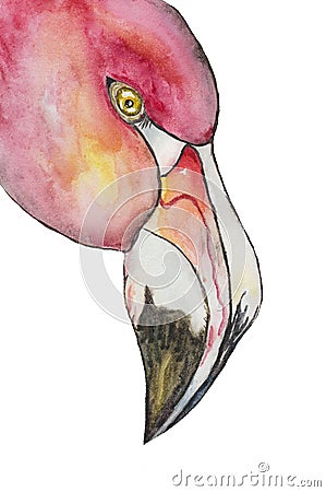 Portrait profile of a red flamingo on white background watercolor Stock Photo