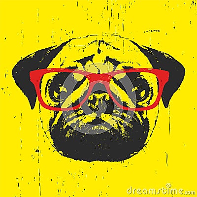 Portrait of Pug Dog with glasses. Vector Illustration