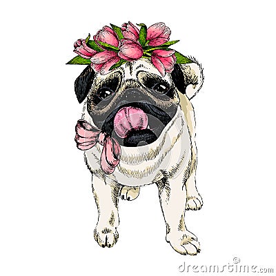 Portrait of pug dog wearing tulip crown. Welcome spring. Hand drawn colored vector illustration. Engraved detailed art Vector Illustration