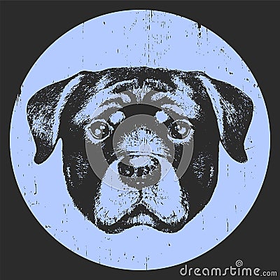 Portrait of Rottweiler. Vector Illustration