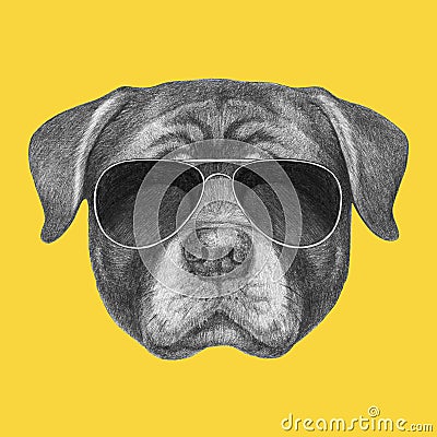 Portrait of Rottweiler with sunglasses. Cartoon Illustration