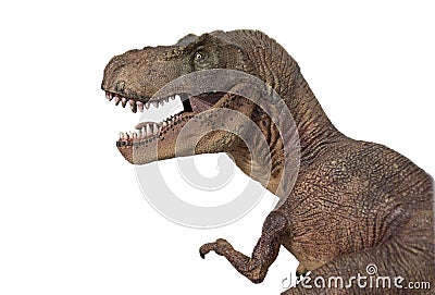 Portrait of a Tyrannosaurus rex isolated on white background Stock Photo