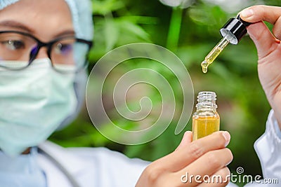 Portrait of scientist with mask, glasses and gloves researching and examining hemp oil in a greenhouse. Concept of herbal Stock Photo