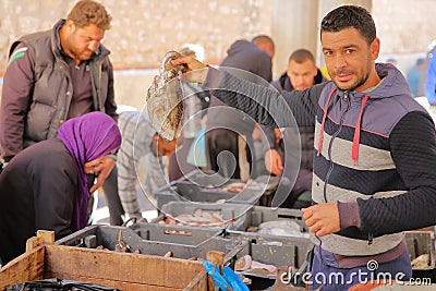 Portrait of a seller at the fish market inside the medina of Sfax Editorial Stock Photo