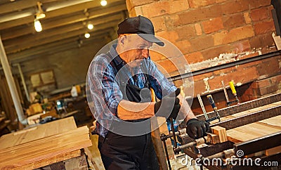 Portrait of a senior carpenter in uniform gluing wooden bars with hand pressures at the carpentry manufacturing Stock Photo